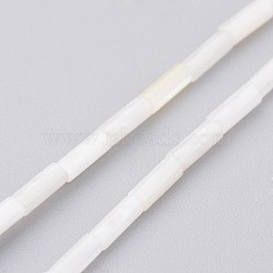 Natural Shell Bead Strands, Dyed, Column, Floral White, 6x2mm, Hole: 0.5mm, about 67pcs/strand, 15.2 inch(X-BSHE-P017-03)