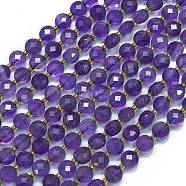 Natural Amethyst Beads Strands, with Seed Beads, Faceted, Flat Round, 6~6.5x4mm, Hole: 1mm, about 50pcs/strand, 15.35''(39cm)(G-K389-B63-01)