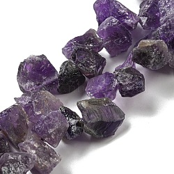 Raw Rough Natural Amethyst Beads Strands, Nuggets, 8~18x7~14x4~11mm, Hole: 1.2mm, about 50~51pcs/strand, 16.14''(41cm)(G-E576-26A)