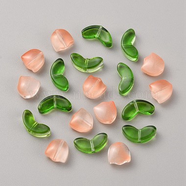 Handmade Lampwork Beads(LAMP-TAC0004-04C)-2