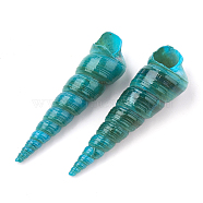 Natural Spiral Shell Beads, No Hole/Undrilled, Spray Painted, Teal, 32~75x9~18x9~18mm(X-SSHEL-Q307-02C)