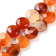 Natural Agate Beads Strands, Faceted Rhombus Cut, Flat Round, 10x5mm, Hole: 1mm, about 37pcs/strand, 14.96''(38cm)(G-H024-A01-01)