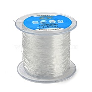 Korean Elastic Crystal Thread, Clear, 1mm, about 109.36 yards(100m)/roll(EW-N004-1mm-01)