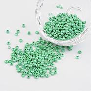 DIY Craft Beads 8/0 Opaque Colors Lustered Round Glass Seed Beads, Medium Sea Green, Size: about 3mm in diameter, hole:1mm, about 1101pcs/50g(X-SEED-A012-3mm-127)