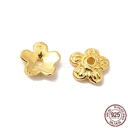 925 Sterling Silver Bead Caps, 5-Petal, Flower, Golden, 6x6x1.8mm, Hole: 0.9mm, about 59pcs/10g(STER-F055-03G)