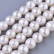Natural Cultured Freshwater PearlBeads Strands, Round, Seashell Color, 10~11mm, Hole: 0.8mm, about 42pcs/strand, 15.7 inch(PEAR-E009-10-11mm)
