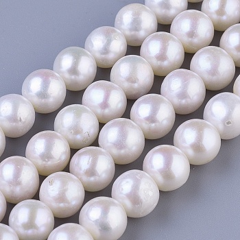 Natural Cultured Freshwater PearlBeads Strands, Round, Seashell Color, 10~11mm, Hole: 0.8mm, about 42pcs/strand, 15.7 inch