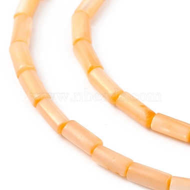 Natural Freshwater Shell Dyed Beads Strands(SHEL-M018-11-02)-3