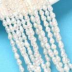 Natural Cultured Freshwater Pearl Beads Strands, Rice, Grade 3A, Antique White, 3~4mm, Hole: 0.5mm, about 72pcs/strand, 15.35 inch(39cm)(PEAR-C004-11)