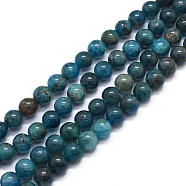 Natural Apatite Beads Strands, Round, 8mm, Hole: 0.8mm, about 50pcs/strand, 15.7 inch(40cm)(X-G-F591-01)