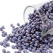 TOHO Round Seed Beads, Japanese Seed Beads, (1204) Opaque Light Blue Amethyst Marbled, 8/0, 3mm, Hole: 1mm, about 1110pcs/50g(SEED-XTR08-1204)