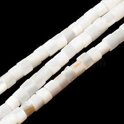 Natural Freshwater Shell Beads Strands, Heishi Beads, Flat Round/Disc, WhiteSmoke, 4~4.5x2.5~3mm, Hole: 0.4mm, about 113pcs/strand, 14.72''~14.96''(37.4~38cm)(SHEL-K006-07)