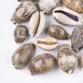 Cowrie Shell Beads, Undrilled/No Hole Beads, Camel, 33~50x20~32x16~28mm