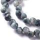 Natural Eagle Eye Stone  Beads Strands(G-H243-09)-3