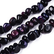Natural Tiger Eye Beads Strands, Dyed, Tumbled Stone, Nuggets, Indigo, 3~12x6~10x6~10mm, Hole: 1.2mm, about 52~58pcs/strand, 14.96~15.35 inch(38~39cm)(G-S374-003G)