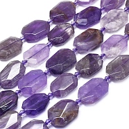 Natural Amethyst Beads Strands, Faceted, Nuggets, 19.5~21.5x14~14.5x5.5~6.5mm, Hole: 2mm, about 17pcs/strand, 15.55 inch(39.5cm)(G-L552P-07)