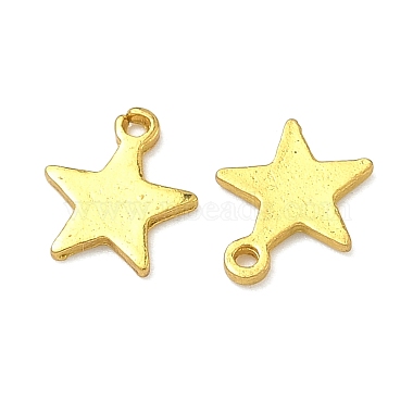 Alloy Pendants(PALLOY-F321-01B-G)-2