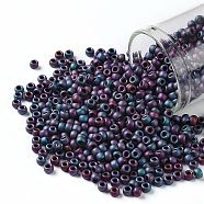 TOHO Round Seed Beads, Japanese Seed Beads, (705) Matte Color Frost Iris Blue, 8/0, 3mm, Hole: 1mm, about 1110pcs/50g(SEED-XTR08-0705)