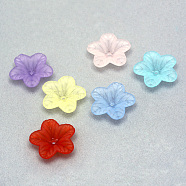 Transparent Acrylic Beads, Frosted, Flower, Mixed Color, 18x17.5x4.5mm, Hole: 1.5mm, 1388pcs/500g(FACR-Q009-12)