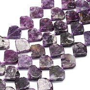 Natural Lepidolite Beads Strands, Diamond Shaped, 15.5~16.5x17~17.5x5~5.8mm, Hole: 1mm, about 22~24pcs/strand, 15.75~15.94 inch(40~40.5cm)(G-G106-E01-01)
