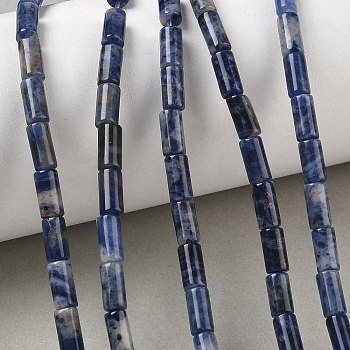 Natural Sodalite Beads Strands, Column, 8x4mm, Hole: 1mm, about 49pcs/strand, 15.35''(39cm)
