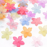Frosted Acrylic Bead Caps, 5-Petal, Flower, Mixed Color, 20x21.5x4.5mm, Hole: 1.6mm, about 1630pcs/500g(MACR-S371-05A)