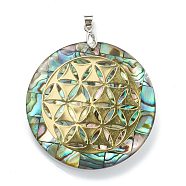 Natural Abalone Shell/Paua Shell Pendants, Alchemy Pendants, Mosaic Pattern, with Platinum Plated Brass Findings and Gold Foil, Flat Round with Magic Pattern, 40.5x5mm, Hole: 4x3.5mm(SSHEL-L019-02P)
