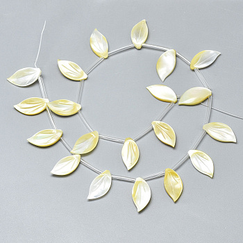 Natural Yellow Shell Pendants, Leaf, Champagne Yellow, 18x9x3mm, Hole: 0.7mm
