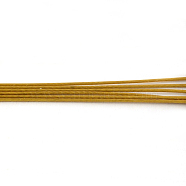 Tiger Tail Wire, Nylon-coated 201 Stainless Steel, Goldenrod, 0.38mm, about 6889.76 Feet(2100m)/1000g(TWIR-S002-0.38mm-15)