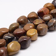 Natural Petrified Wood Bead Strands, Nuggets, 15~25x10~18x12~16mm, Hole: 2mm, about 22~25pcs/strand, 15.75 inch(G-K153-D31)