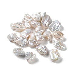 Natural Keshi Pearl Cultured Freshwater Pearl Beads, Baroque Pearls, Undrilled/No Hole, Nuggets, WhiteSmoke, 12~17x7~9x4~6mm(PEAR-E020-40)