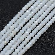 Natural Blue Chalcedony Bead Strands, Faceted, Round, Alice Blue, 2~2.3mm, Hole: 0.5mm, about 160~169pcs/strand, 12.5 inch~12.9 inch(320~330mm)(G-P270-2mm-01)
