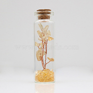 Glass Wishing Bottle Decorations, with Citrine Chips Tree Inside and Cork Stopper, 22x74mm(TREE-PW0002-08E)