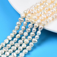 Natural Cultured Freshwater Pearl Beads Strands, Two Sides Polished, Creamy White, 5.5~7x5~6x3.5~5mm, Hole: 0.6mm, about 63~65pcs/strand, 13.58 inch~14.17 inch(34.5~36cm)(PEAR-N014-05B)