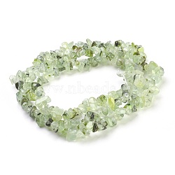Natural Prehnite Beads Strands, Chip, 4~18x3~10mm, Hole: 0.5mm, 30.7 inch(78cm)(G-F575-16)