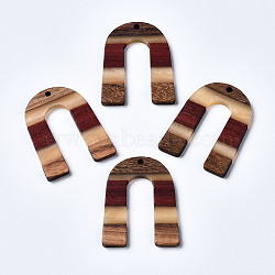 Resin & Walnut Wood Pendants, U Shape, Colorful, 36.5x28x2~3mm, Hole: 2mm(RESI-R428-07)