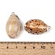 Electroplate Natural Sea Shell Pendants(SSHEL-T018-05)-3