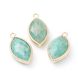 Natural Amazonite Pendants, with Golden Brass Edge, Faceted, Horse Eye, 22x12x5.5mm, Hole: 1.8mm(G-B009-01G-L)