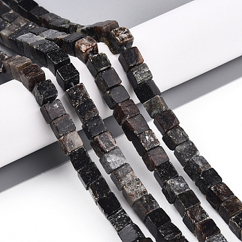 Natural Biotite Beads Strands, Cube, 6~6.5x6~6.5x6~6.5mm, Hole: 0.9~1mm, about 57~63pcs/strand, 14.53~15.35''(36.9~39cm)