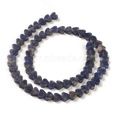 Natural Sodalite Beads Strands(G-M403-A08)-4