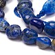 Natural Lapis Lazuli Beads Strands(X-G-L493-40)-2