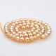 Pearl Luster Plated Glass Round Beads Strands(GLAA-A025-6mm-PL01)-2