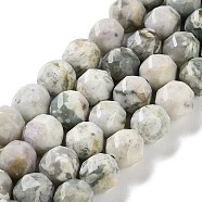 Natural Peace Jade Beads Strands, Faceted, Double Hearted & Star Cut Beads, 8.5~10.5x9~10.5mm, Hole: 0.8mm, about 40~42pcs/strand, 15.43~15.94 inch(39.2~40.5cm)(G-NH0021-A08-02)