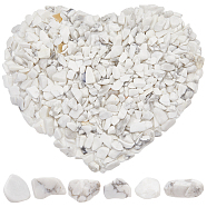 500G Howlite Chip Beads, No Hole/Undrilled, 2~8x2~4mm, about 8500pcs/500g(G-SP0001-04)