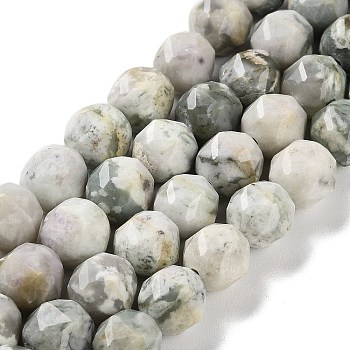 Natural Peace Jade Beads Strands, Faceted, Double Hearted & Star Cut Beads, 8.5~10.5x9~10.5mm, Hole: 0.8mm, about 40~42pcs/strand, 15.43~15.94 inch(39.2~40.5cm)