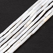Natural Freshwater Shell Beads Strands, Column, Seashell Color, 13x4mm, Hole: 0.8mm, about 30pcs/strand, 15.16''(38.5cm)(SHEL-M018-10)
