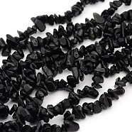 Natural Obsidian Beads Strands, Dyed, Chip, 5~8mm, Hole: 0.5mm, about 31~32 inch(F005)
