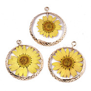 Transparent Clear Epoxy Resin & Dried Flower Pendants, with Edge Light Gold Plated Iron Loops, Flat Round, Yellow, 34x29x3.5mm, Hole: 2mm(RESI-S383-076A-A02)