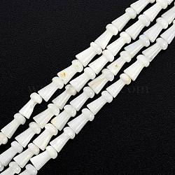 Natural Freshwater Shell Beads Strands, Undyed, Mushroom, White, 7.5x4mm, Hole: 0.7mm, about 50pcs/strand, 14.76 inch(37.5cm)(SHEL-G013-02D)