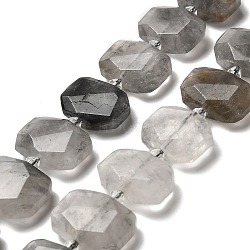 Natural Cloudy Quartz Beads Strands, with Glass Beads, Faceted, Rectangle, 20.5~22.5x15.5~16.5x6.5~7.5mm, Hole: 1.6mm, about 21pcs/strand, 15.12~15.28''(38.4~38.8cm)(G-H078-B17-01)